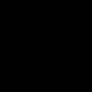 Meet your Posher, Ari